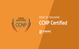 How to study for CCNP exam?